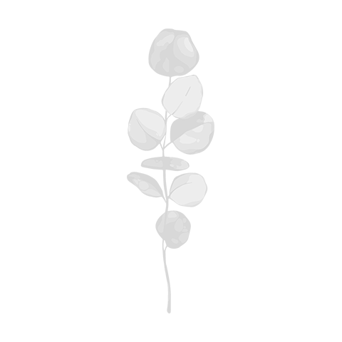 icon-leaf-05-gray-480px