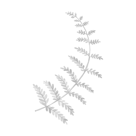 icon-leaf-06-gray-480px