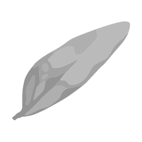 icon-leaf-petal-01d-mdgray-480px